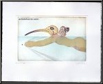 Michel Lablais: Homme-Ibis Homme-oiseau, gravure  l'eau-forte signe, nageur curieux | uvre graphique