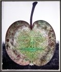 Bernhard Jaeger:  Schafsnase  (pomme) 1973, Lithographie signe